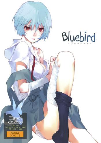 Outdoor Bluebird- Neon genesis evangelion hentai Female College Student