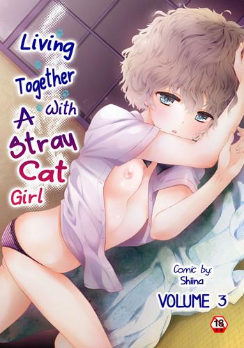 Sex Toys Noraneko Shoujo to no Kurashikata Vol. 3 | Living Together With A Stray Cat Girl Vol. 3 Facial