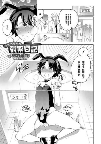 Amateur Usagi-chan Kansatsu Nikki Schoolgirl