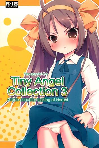 Gudao hentai Tiny Angel Collection 3- The melancholy of haruhi suzumiya hentai Affair
