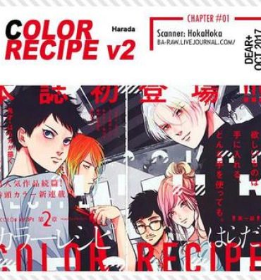 Indian Color Recipe Vol. 2 Lovers